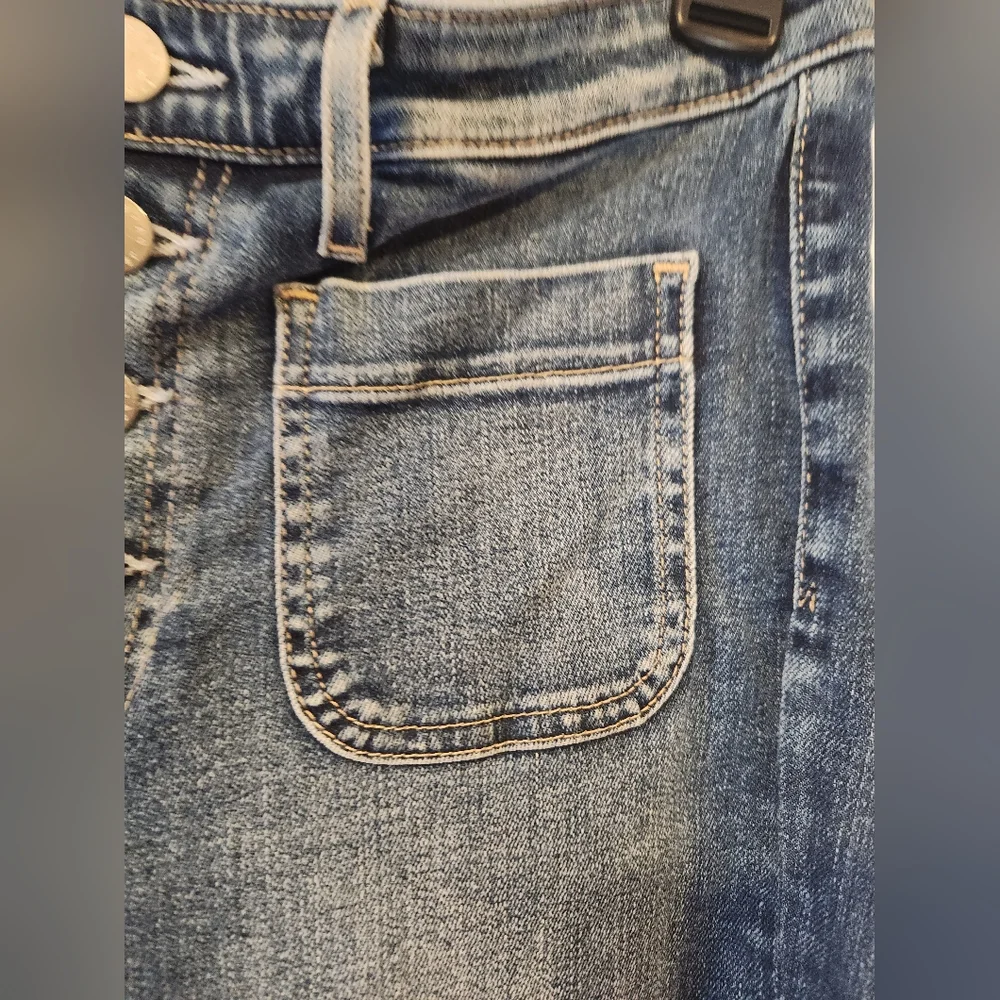 Adriano Goldshmied Anthropogie Vintage Stevie Ankle Button Fly Dark Jean Size 27